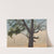 Solitary tree by Chrystian Breslauer
