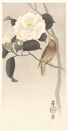Songbird and flowering camellia — size preview