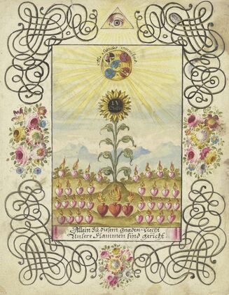 Sonnenblume mit Goldaufschrift