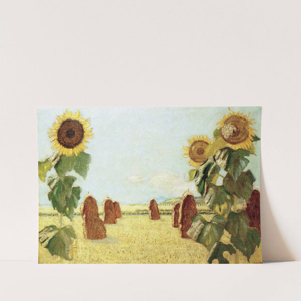 Sonnenblumen by Hermann Urban