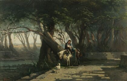 Sosta in un’albereta