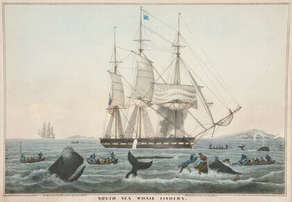 South Sea Whale Fishery