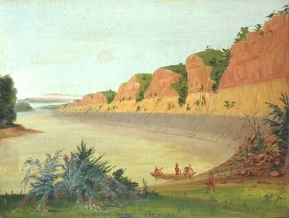 South Side Of Buffalo Island, Showing Buffalo Berries In The Foreground