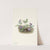 Southern Coast Violet. Viola septemloba (1925) by Mary Vaux Walcott