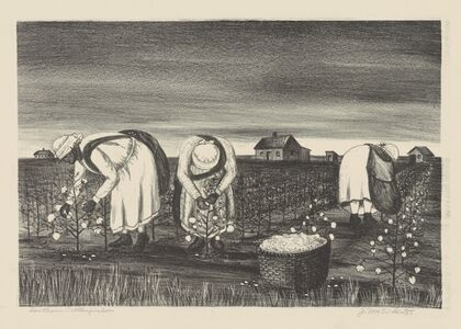 Southern Cottonpickers