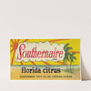 Southernaire Brand Florida Citrus Label (1930-1950)