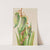 Spanish Bayonet (Yucca baccata) (1935) by Mary Vaux Walcott