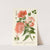 Spanish Lavatera, Large-flowered Malope (1896-1897) by Edward Step