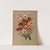 Sparaxis Tricolor. Varr. (1872-1881) by Arentina Hendrica Arendsen