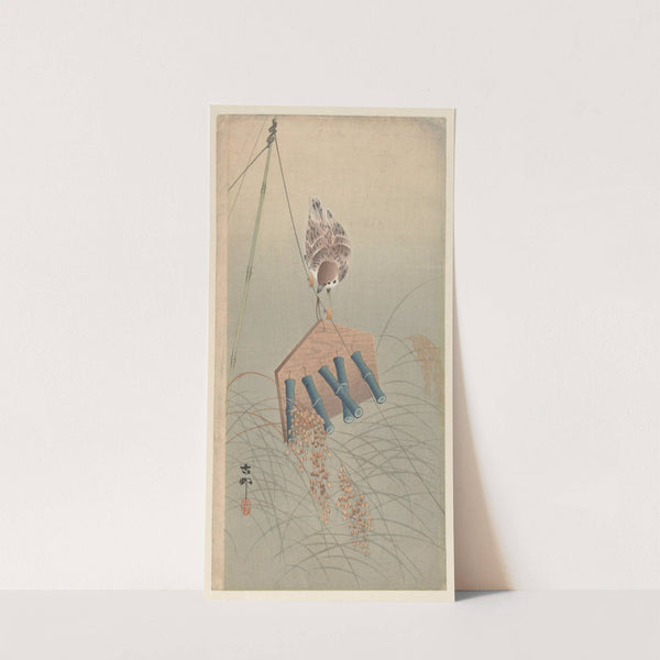 Sparrow by Ohara Koson