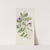 Spotless Violet Torenia by Sydenham Edwards