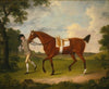Sprightly, A Lady’s Hack Held By A Groom In A Landscape