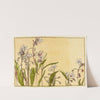 Spring Beauty by Hannah Borger Overbeck