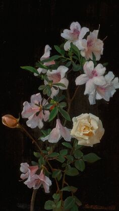 Spring Blossoms (1875)
