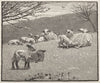 Spring Lamb (1880)