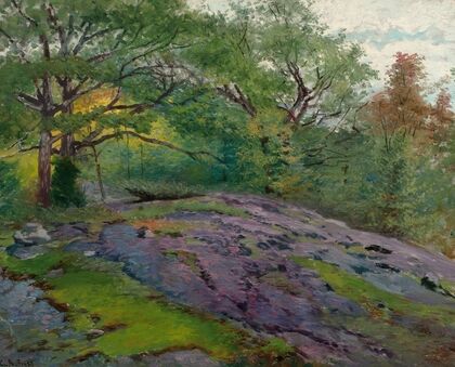 Spring Landscape