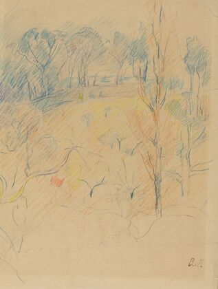 Spring Landscape