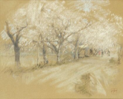 Spring Landscape