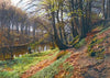 Spring Landscape At Søby