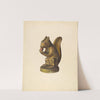 Squirrel by Mina Lowry