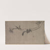 Squirrel on a Pine Branch (1500s) by Song Tian