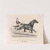 St. Julien; by Volunteer, dam by Sayre’s Henry Clay (1879) by John Cameron