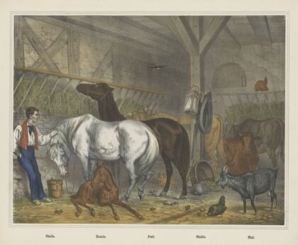 Stable (1829-1880)