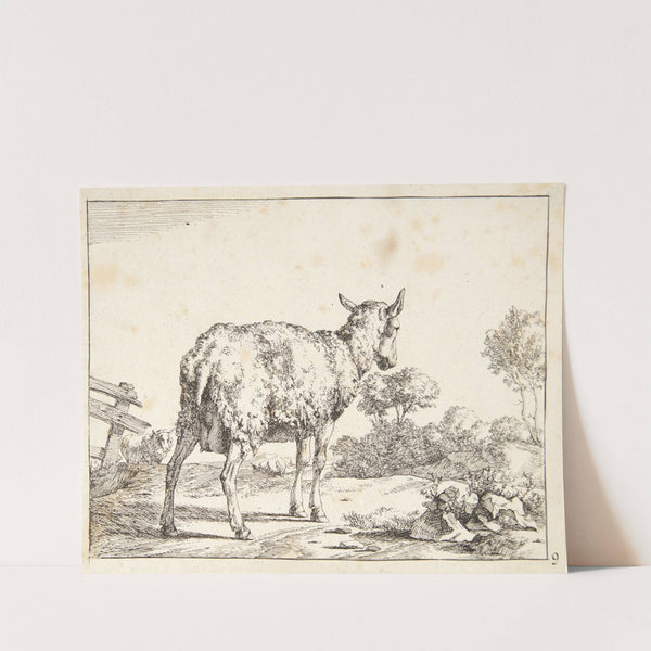 Stående gimmer, set bagfra by Marcus de Bye