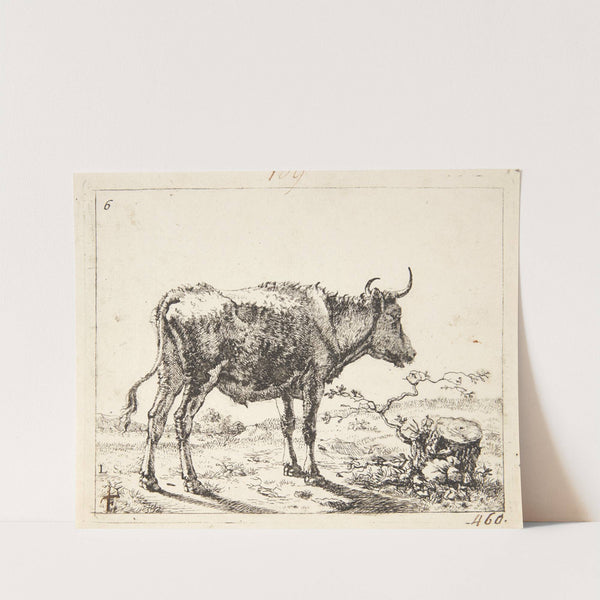 Stående stud, vendt mod højre by Marcus de Bye