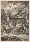 Stag (1823)