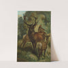 Stag, or Red Deer. by John George Wood