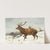 Stags in the Snow by Carl Friedrich Deiker