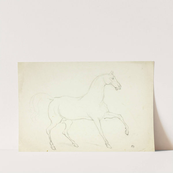 Stallion by Abraham Cooper