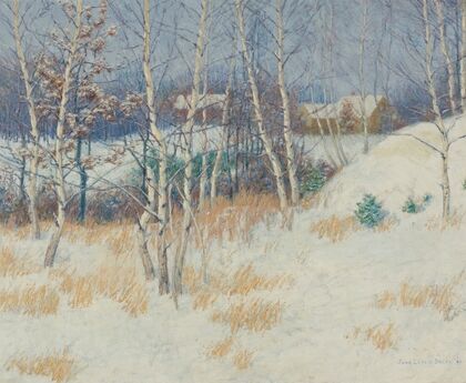 Stand Of Birch Trees In Winter