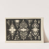 Standard Scroll Book Pl.11 (1876) by Jesse Haney &amp; Co.