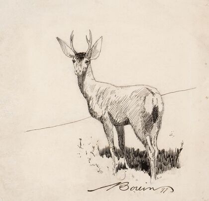 Standing Buck