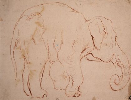 Standing elephant