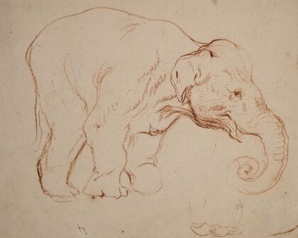 Standing elephant