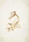 Standing female figure seen from the back and from below