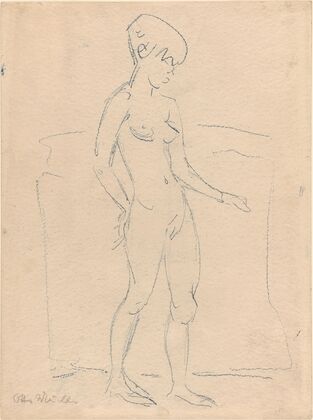 Standing Female Nude