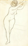 Standing Female Nude