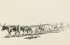 Standing Herd (1915)