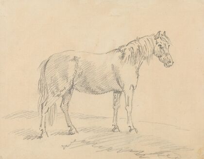 Standing Horse