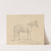 Standing Horse by Sawrey Gilpin