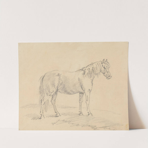 Standing Horse by Sawrey Gilpin