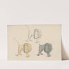 Standing lion in a threatening pose, three times repeated in different colours by David Humbert de Superville