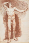 Standing Male Nude
