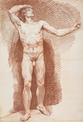 Standing Male Nude