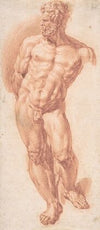 Standing Male Nude