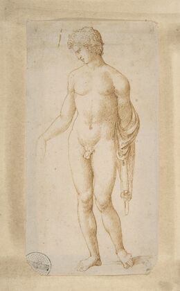Standing Male Nude